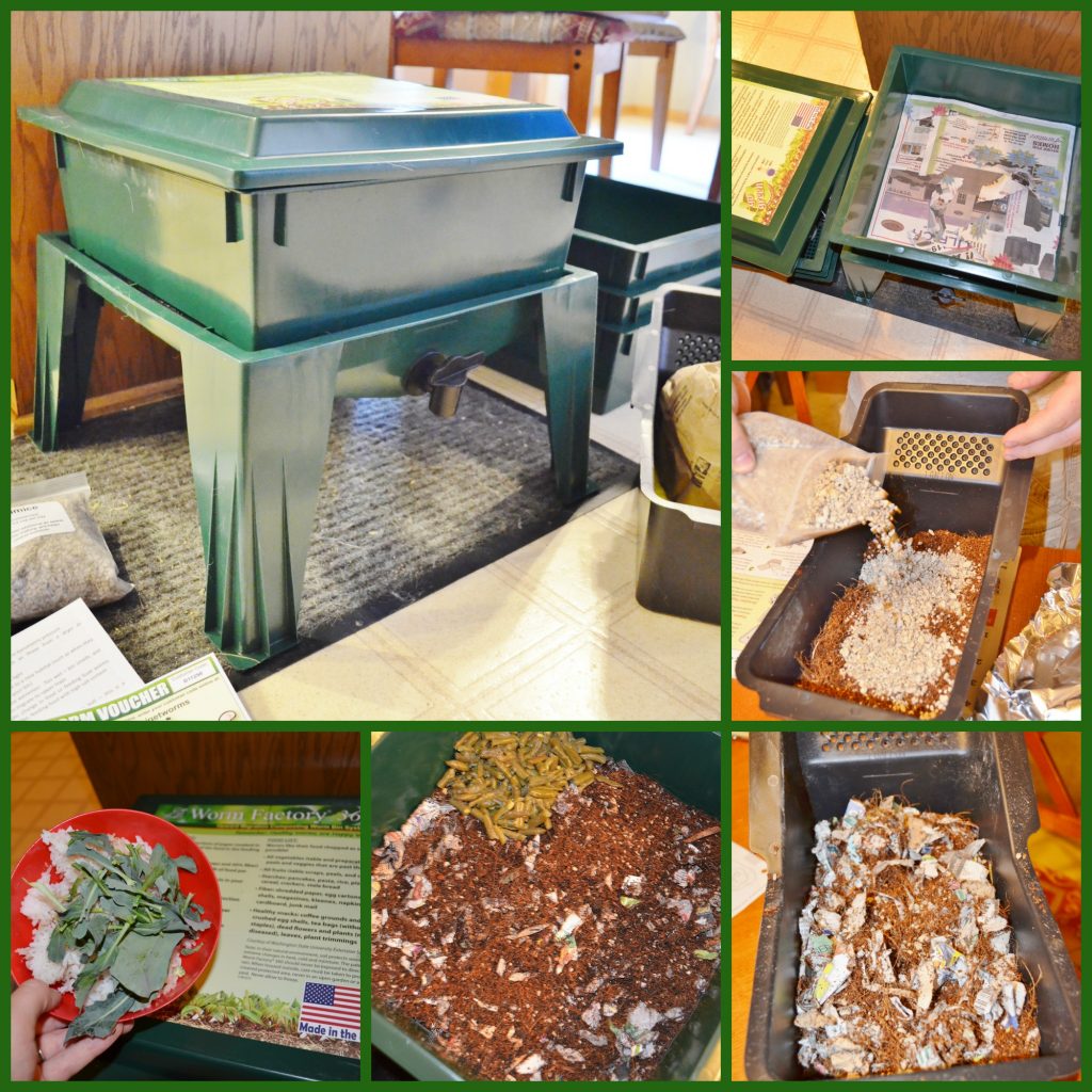 worm factory composting collage