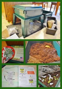 Worm Factory Composting Bin Set-up UPDATE