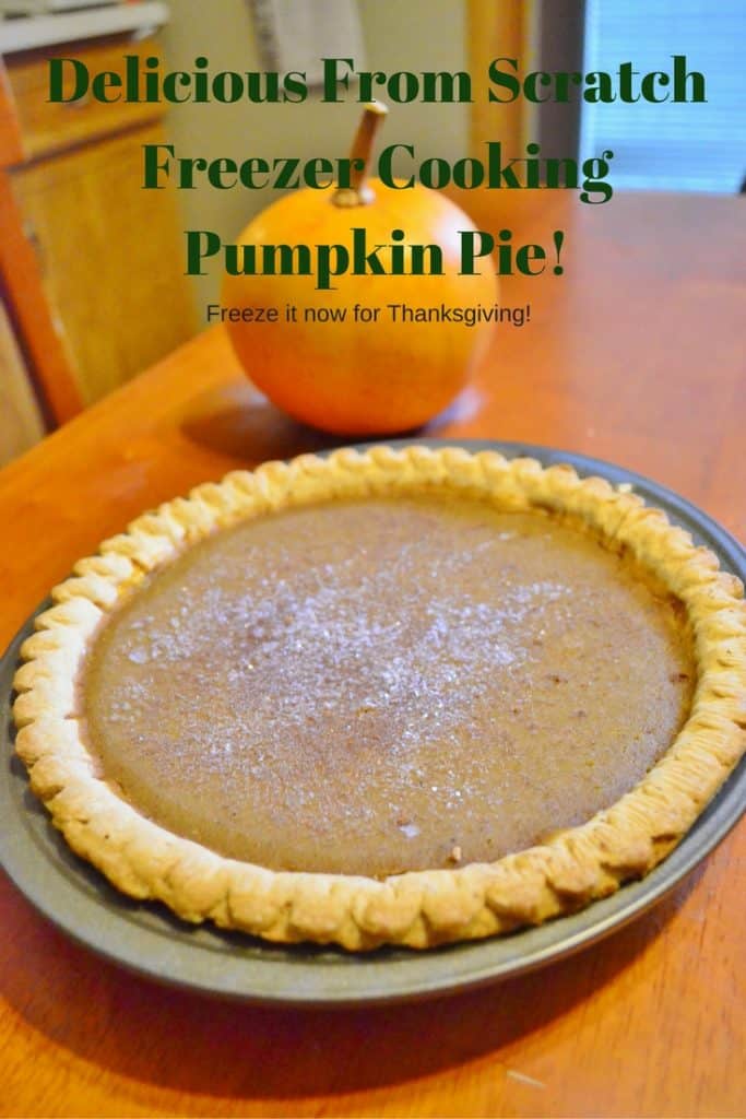 Delicious From Scratch Freezer Pumpkin Pie