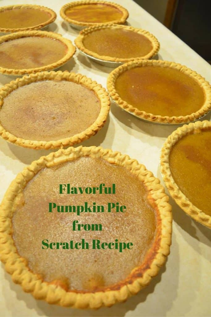 Flavorful Pumpkin Pie from Scratch Recipe