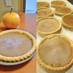 pie pumpkins and pumpkin pies homemade