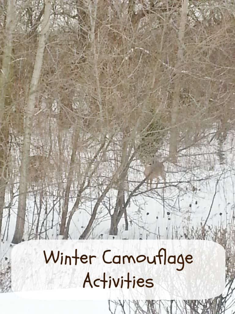 winter camouflage activities for kids