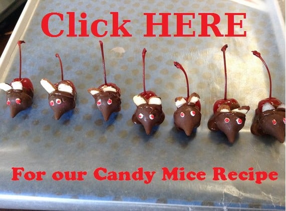 Candy Holiday Mice Recipe
