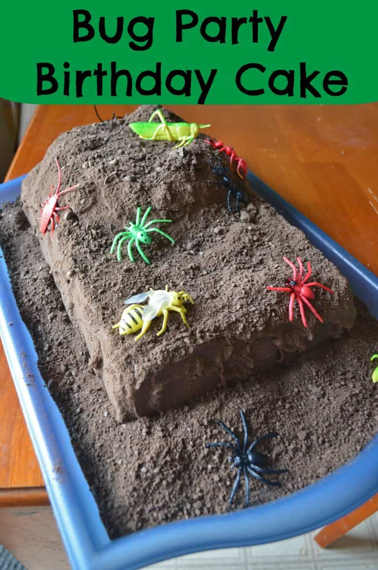 BUG Party Birthday Cake Tutorial: Step by Step Photo Tutorial for Kids