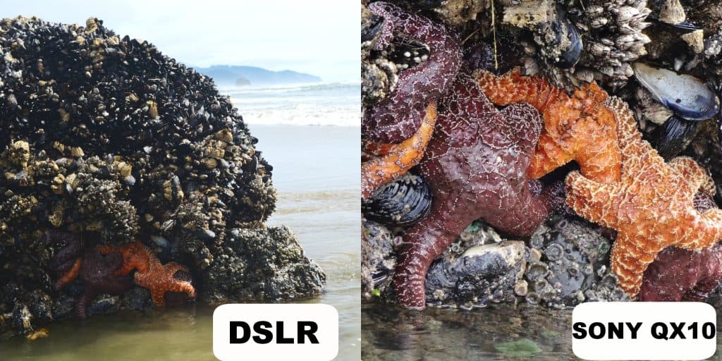 DSLR Sony QX10 Starfish compare