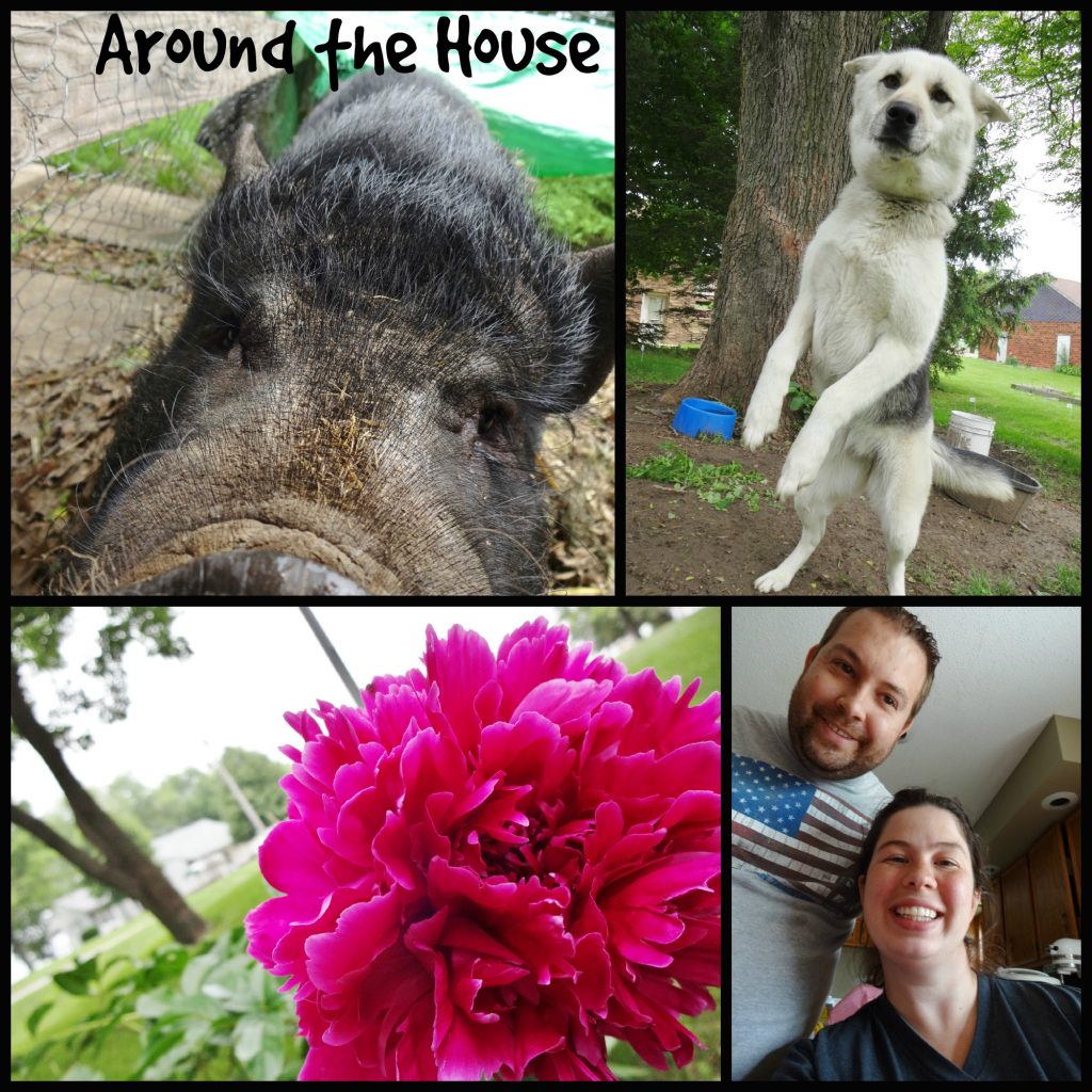 around the house Collage