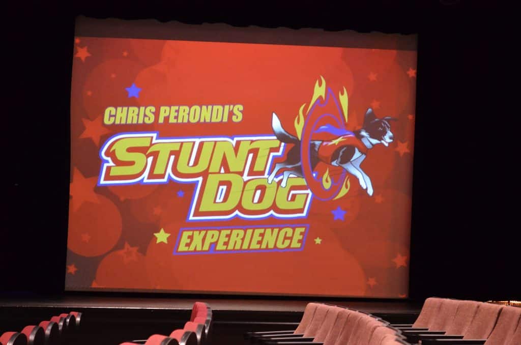 Stunt Dog Experience, Branson MO