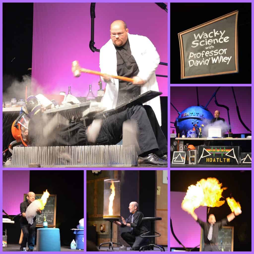 mad science branson Collage