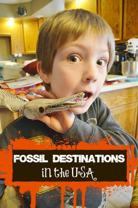 fossil destinations in the usa