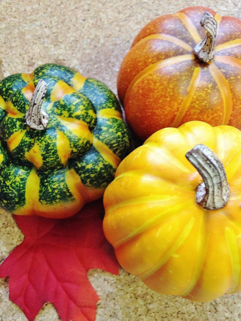 gourd fall DIY home decor