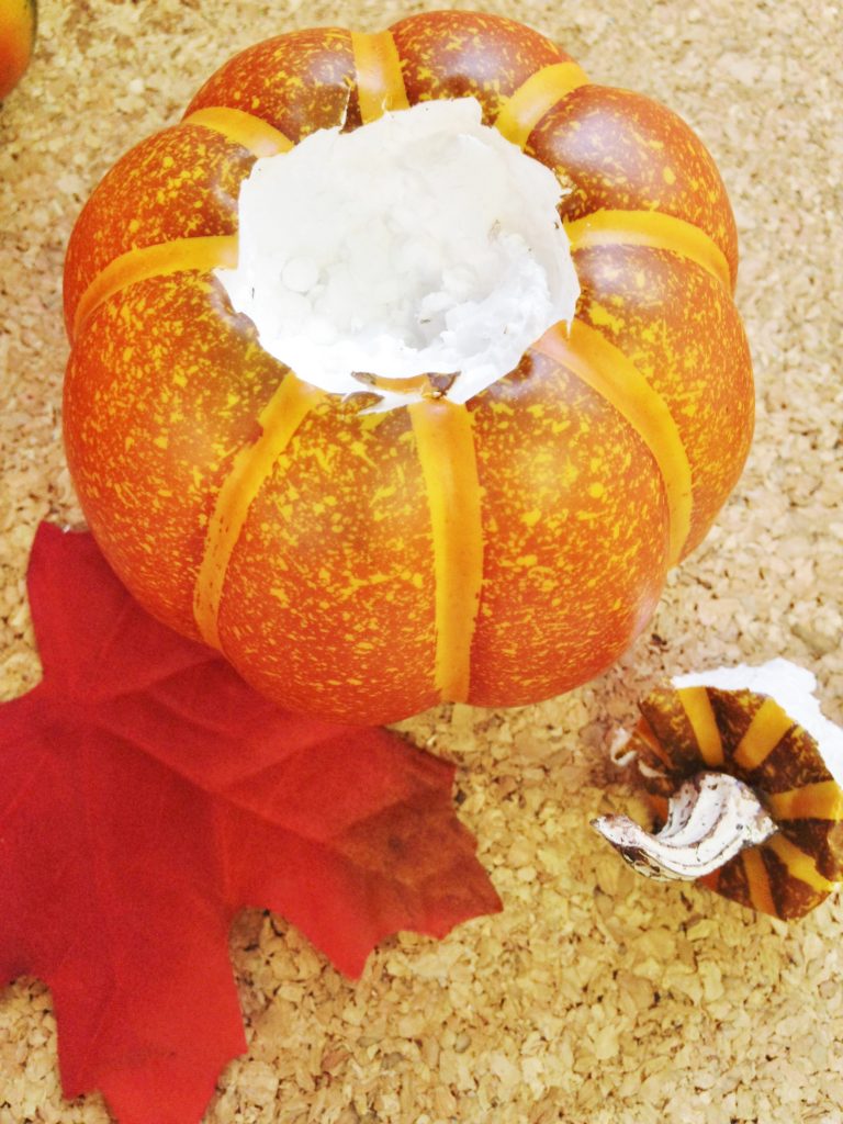 gourd fall DIY home decor