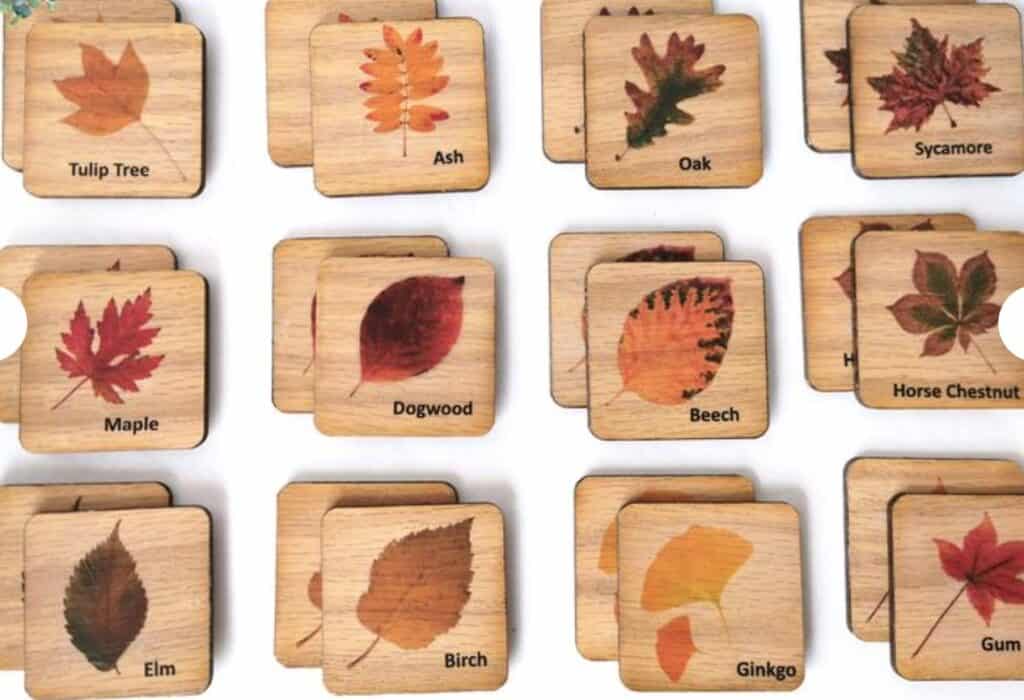 wood leaf memory game