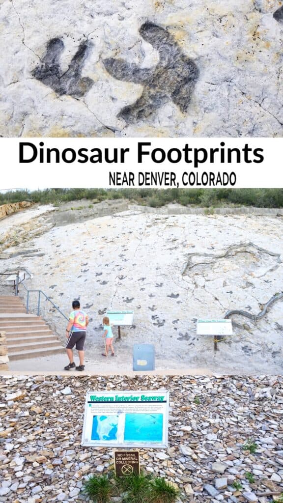 Dinosaur Ridge near Denver Colorado