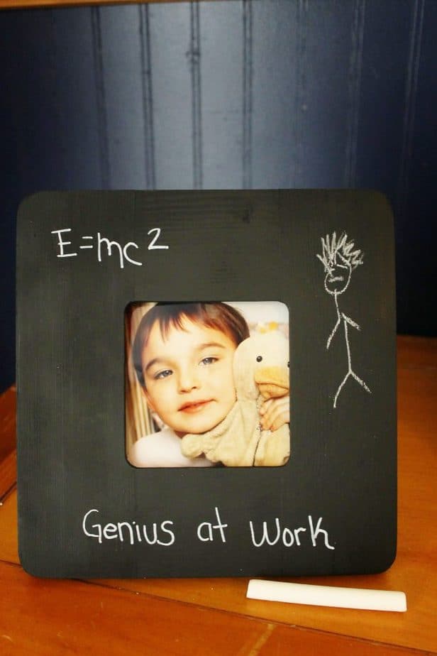 I am Albert Einstein by Brad Meltzer Unit Study Day 1  Surviving A Teachers Salary