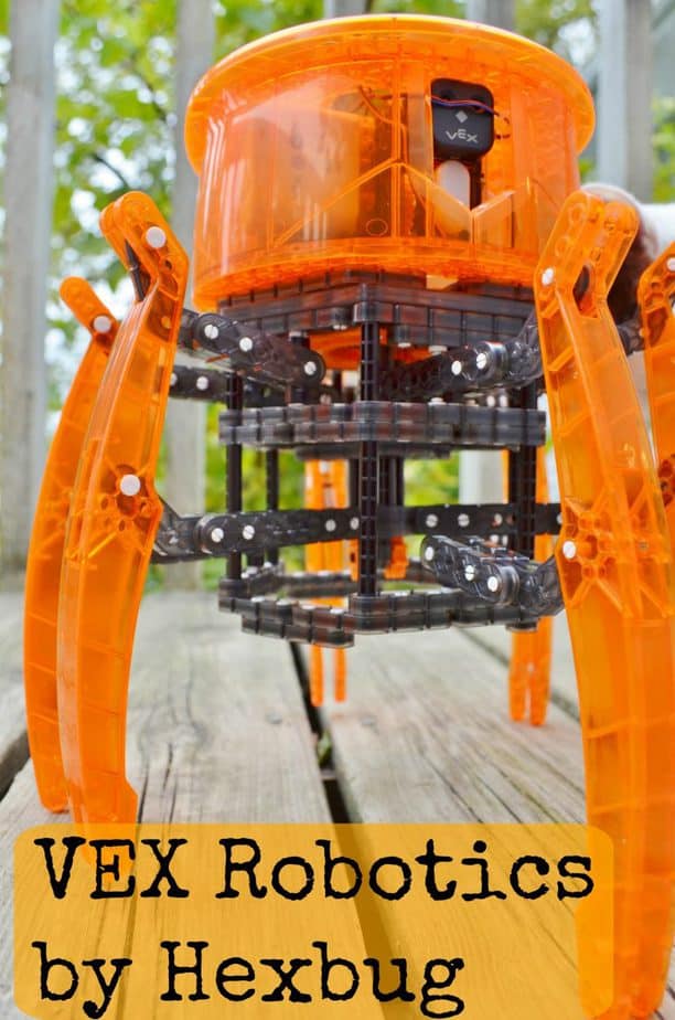 hexbug spider amazon
