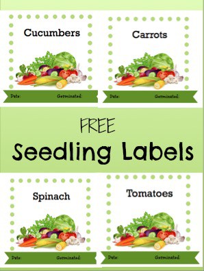 Free Printable Garden Seedling Labels - Veggies & Blank Make your Own Label