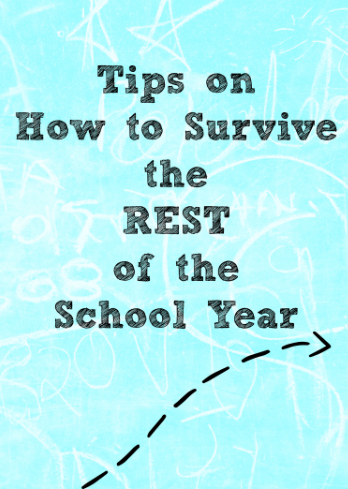 Tips on how to Survive your School Year and Relax