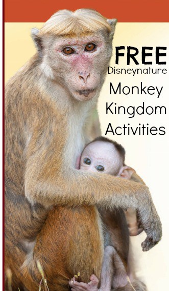 free Disney Nature monkey kingdom activities for teachers and kids