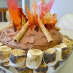 Campfire Camping Birthday Cake for Kids