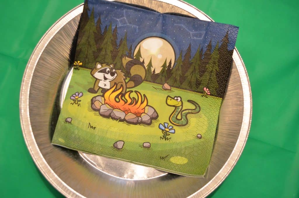 camping napkin and tin foil plate for birthday party