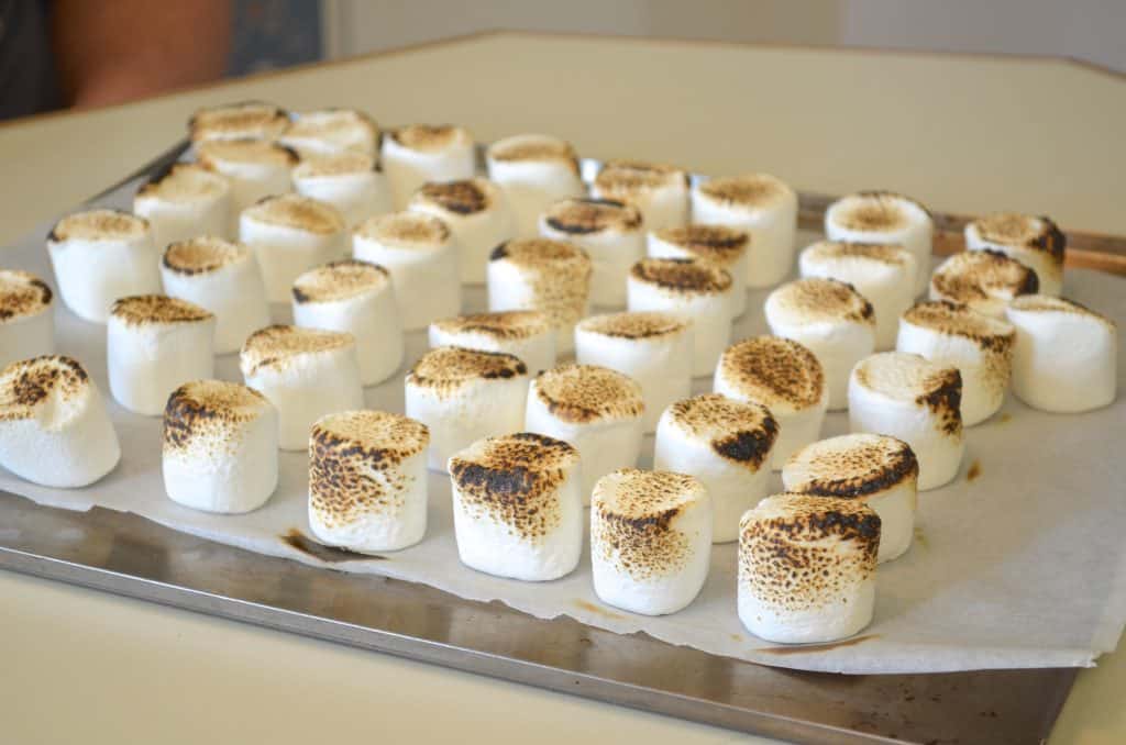roasted marshmallows for campfire birthday cake