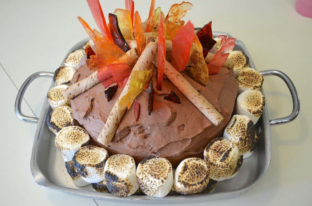 Campfire Camping Birthday Cake