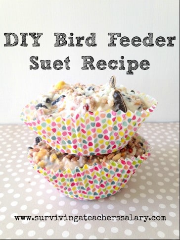 DIY Bird Feeder Suet Recipe