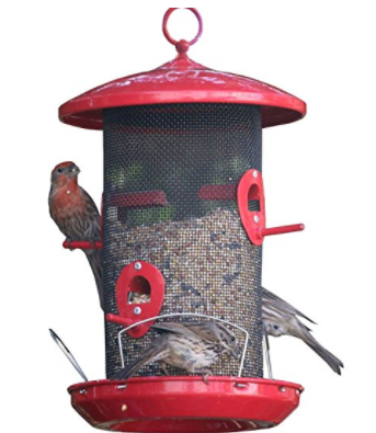 Bird Feeder Gift