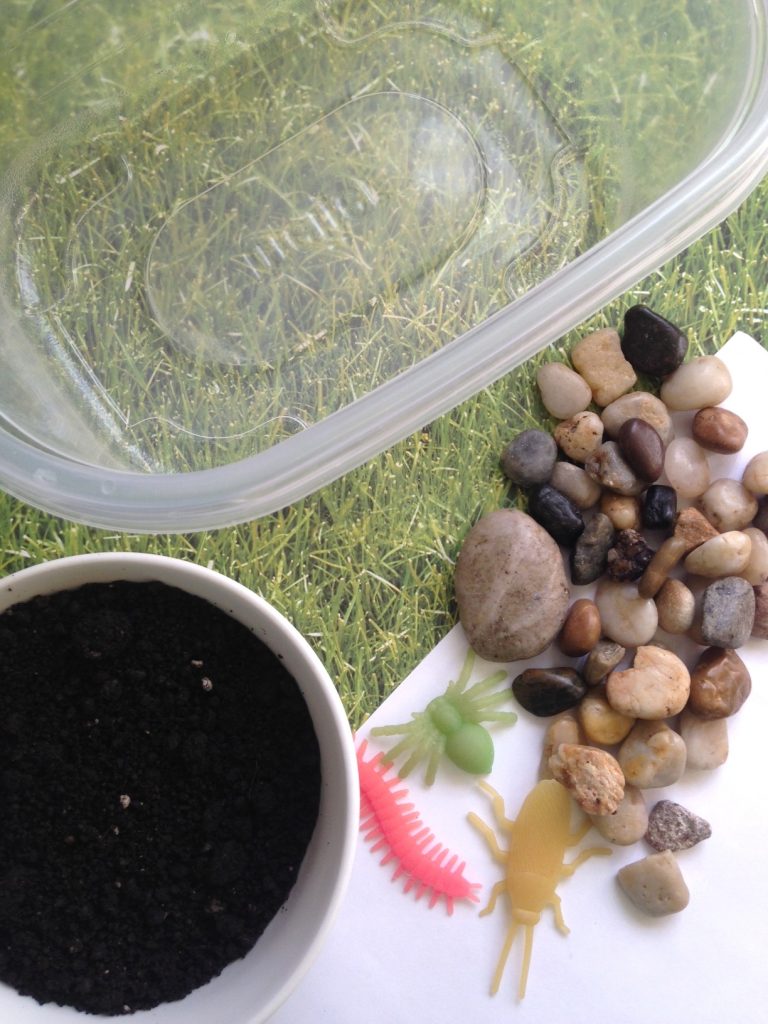 DIY Bug Sensory Bin for Kids