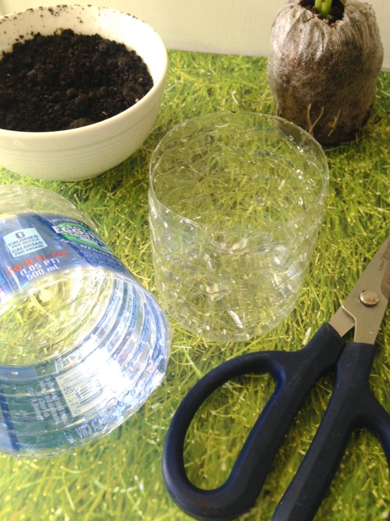 Upcycled Water Bottle Garden Seedling Starter