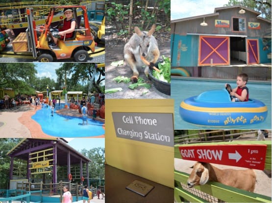 Lowry Park Zoo – my #1 Choice for Kid’s Travel in Tampa Florida