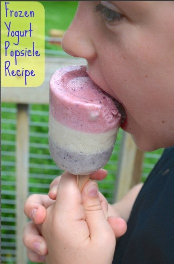 Frozen Yogurt Recipe