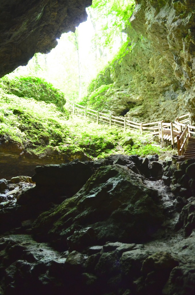 entrance to a cave in Maquoketa State Park Iowa 