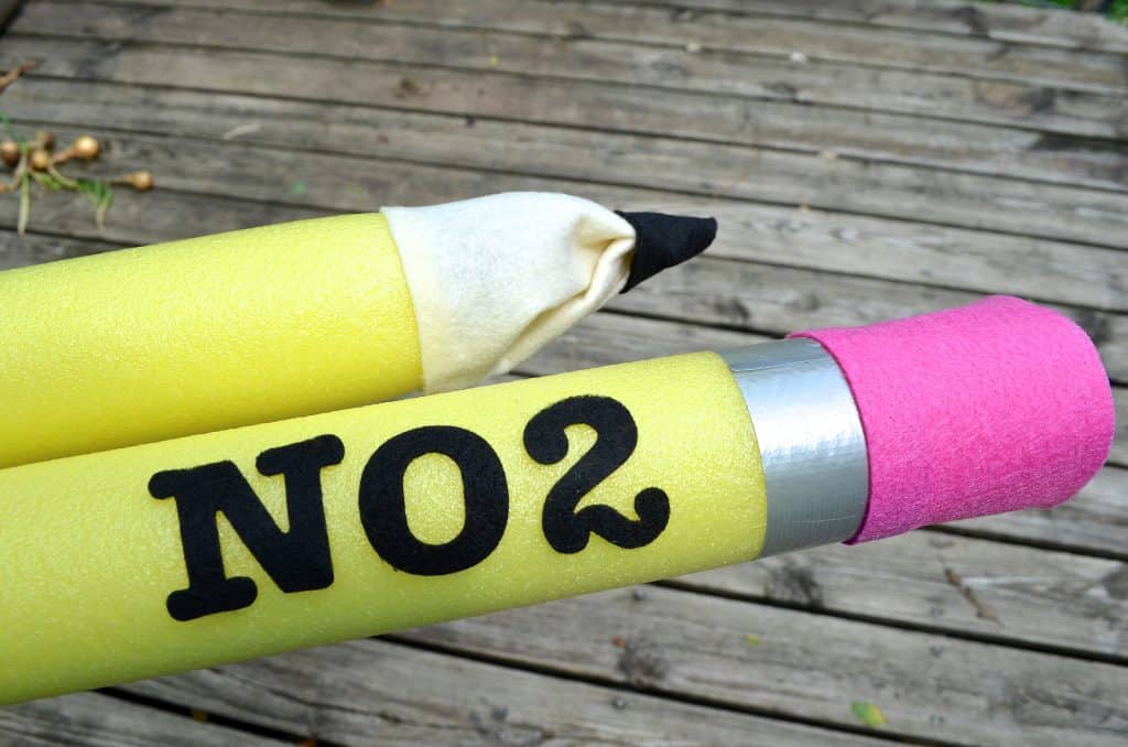 NO 2 Pencil Pool Noodle craft