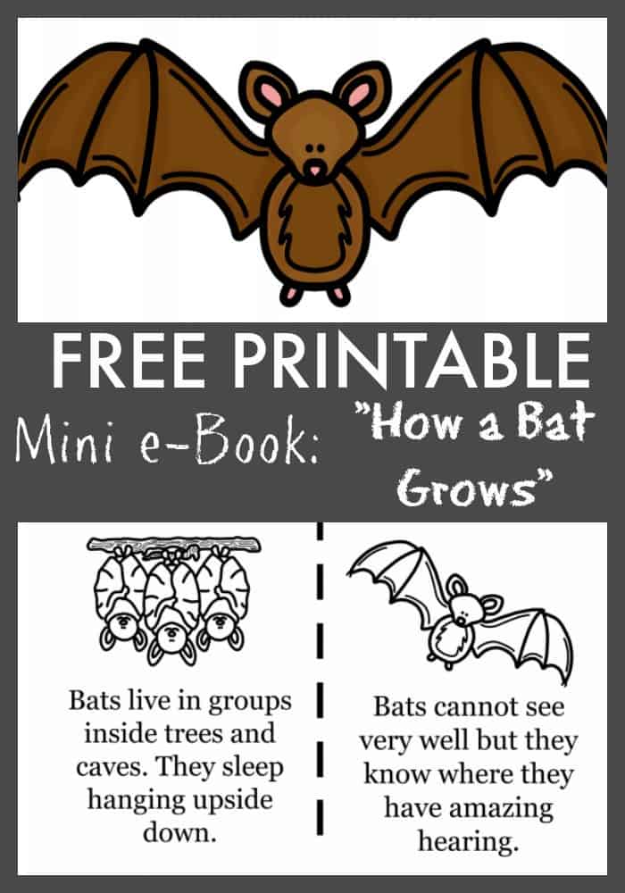 Free How A Bat Grows Printable Ebook