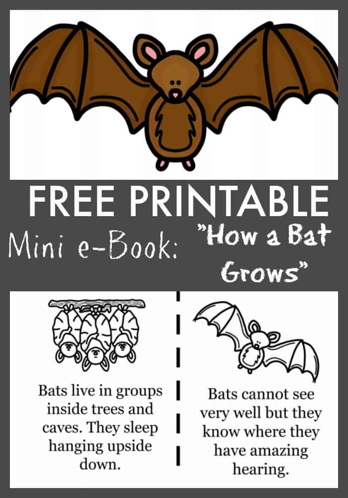 FREE Bat Printable ebook coloring pages for kids