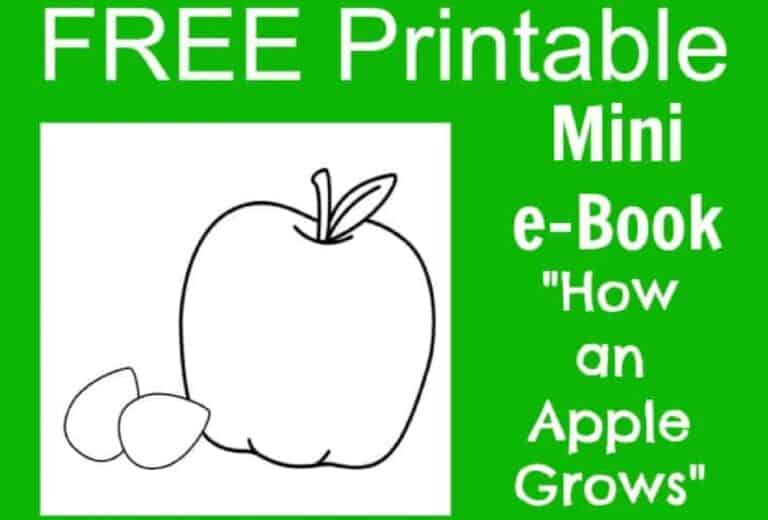 FREE Apple Life Cycle “How an Apple Grows” Printable e-Book