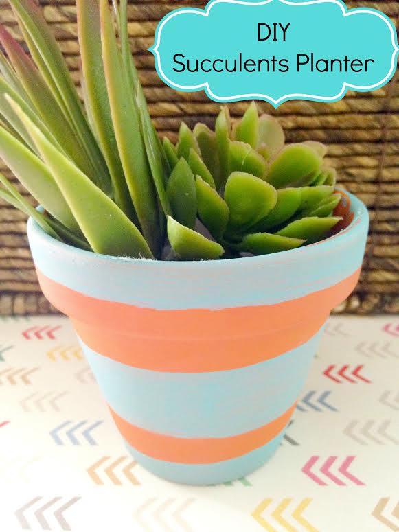 Dollar Store DIY: Succulents Planter