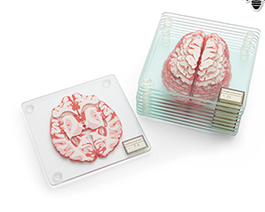 Brain Drink Coasters