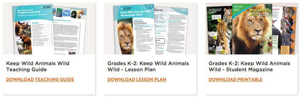 Wildlife Animal Resources for Classroom Curriculum