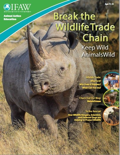 Free Wildlife Conservation Classroom Materials