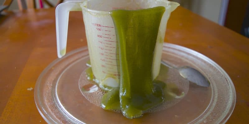 cup of green metamucil slime