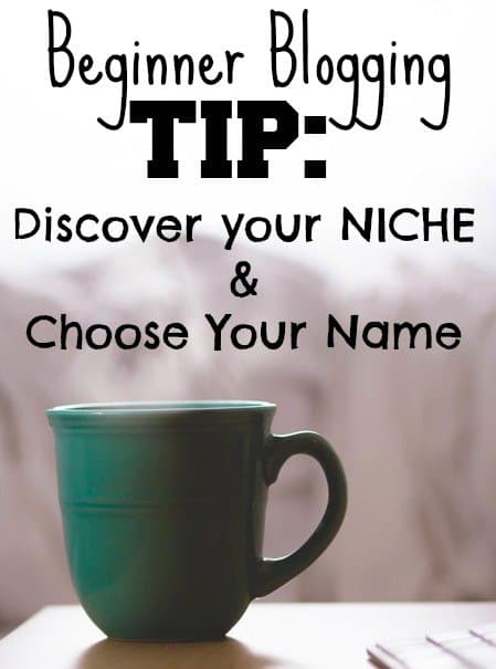 Beginner Start a Blog Blogging Tip Discover Niche