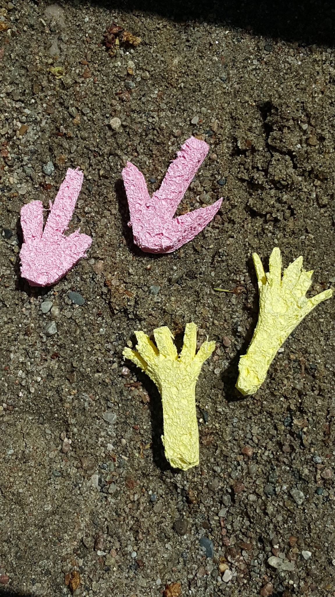 DIY Animal Tracks Activities & Nature Art Play with Science