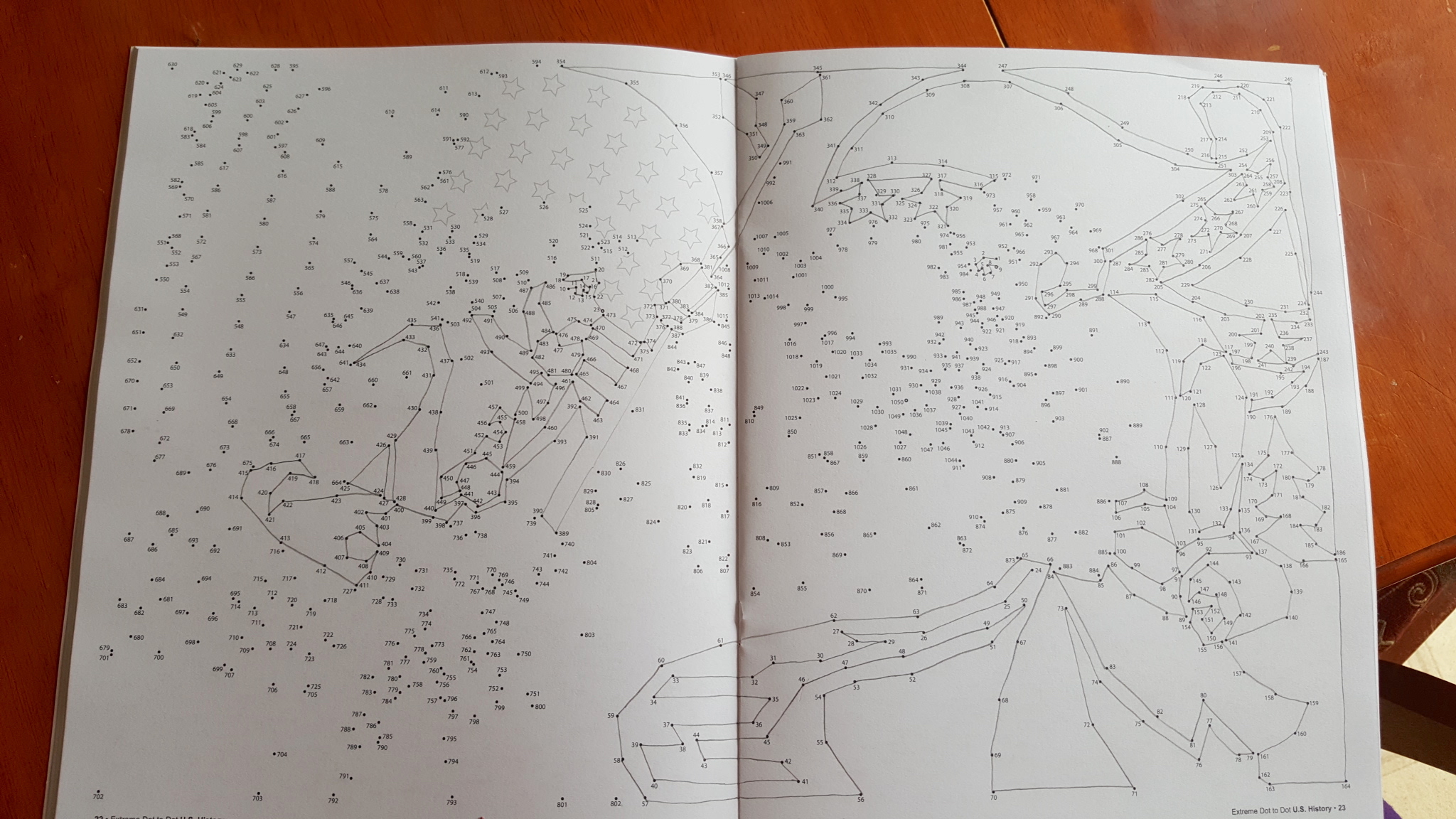 Extreme A4 Dot to Dot Individual Designs Books 1 and 2 Each 32 Pages 