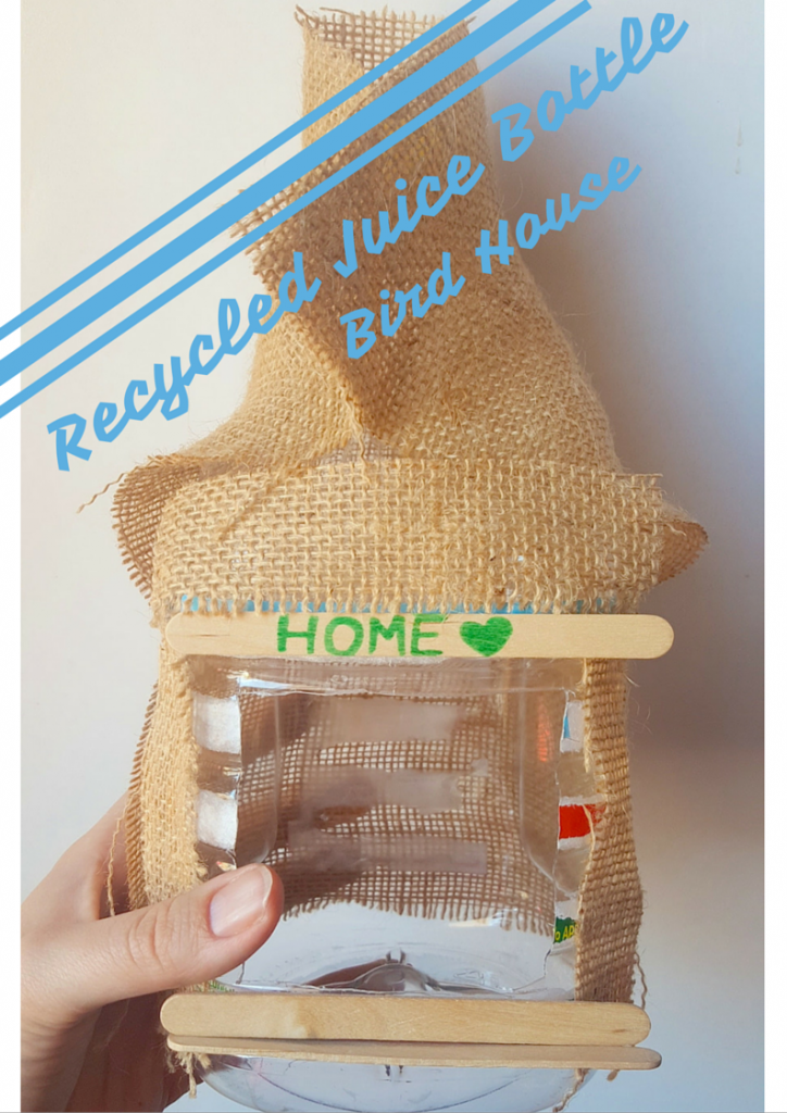 How To Reuse Plastic Bottles At Home - Things To Do With Plastic