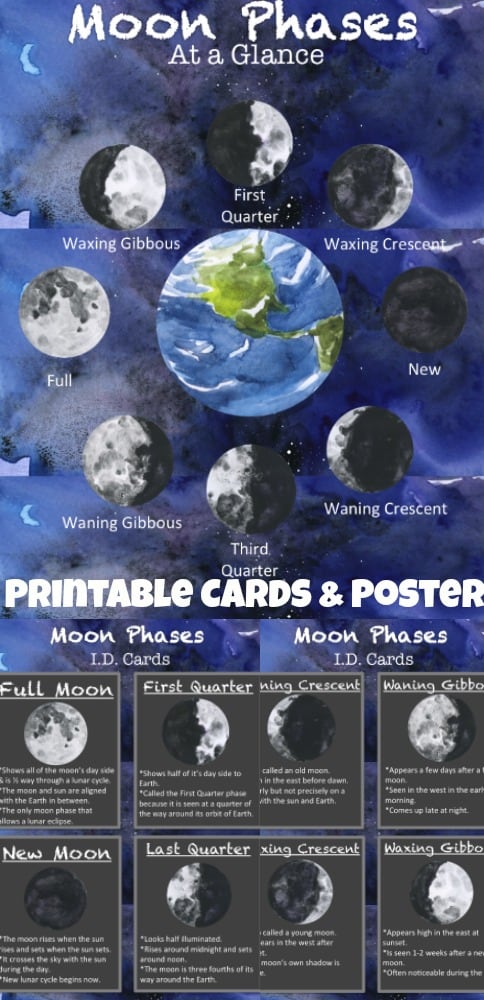 Free Printable Moon Phases Cards and Poster - perfect for homeschool and space solar system classroom school lessons