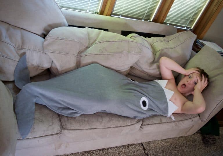 Make Your Own No Sew Shark Blanket Tutorial for Kids