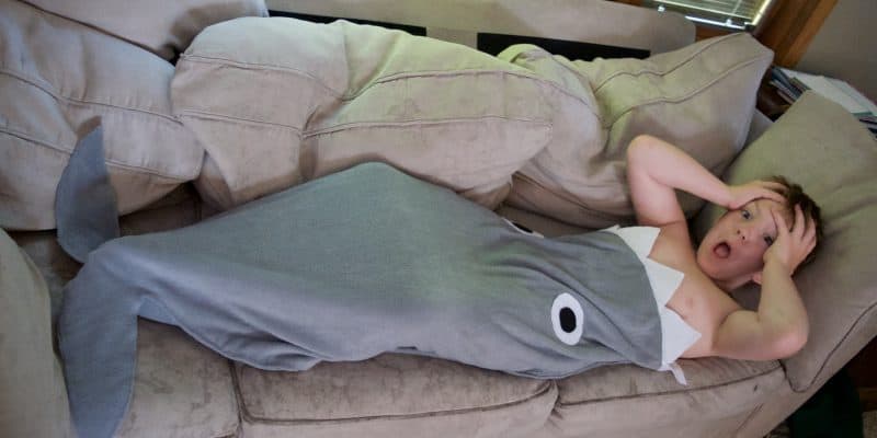 Make Your Own NO SEW Shark Blanket Tutorial