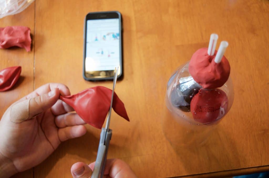 cutting the balloon lungs for the lung science experiment bottle 